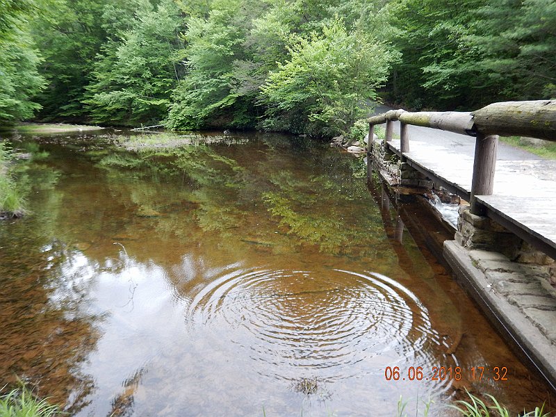 -HIckory-075-.jpg - Here is where the last three fish came from.  Oh, is that a rise?  Guess it'll have to wait for my return trip.