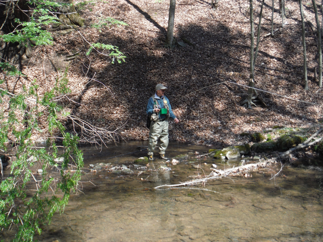 DSCF9192.jpg - This area even has locations that allow for a decent cast.