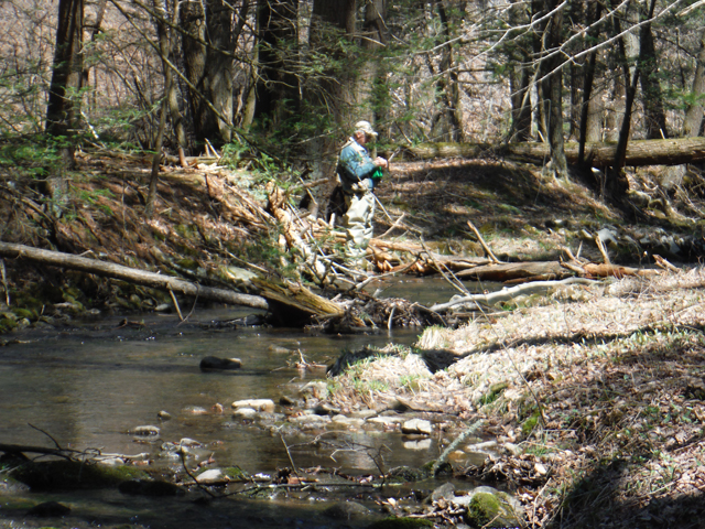 DSCF9200.jpg - With the wind falls, casting can become tricky in some spots.  Fish populate these areas if you can stay out of the hemlocks.