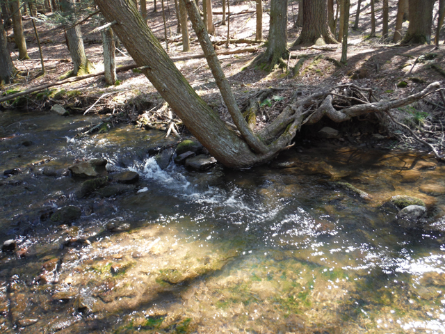 DSCF9203.jpg - Deep runs like this one always produced a few fish.
