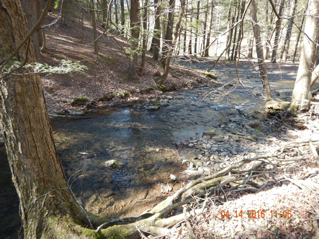 DSCN1059.jpg -                                And its no wonder with a stream as beautiful as this one.