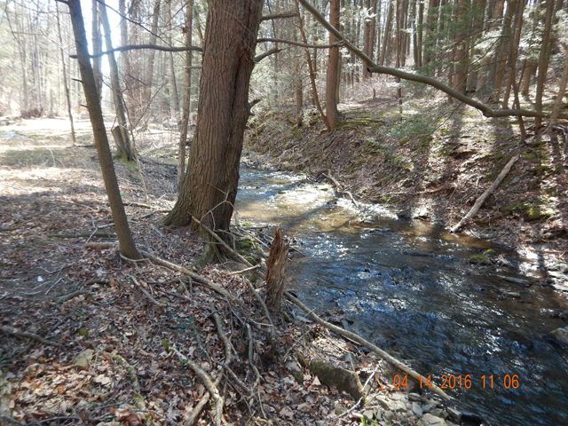 DSCN1060.jpg -                                This place is just made for Brook Trout.