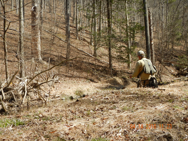 DSCN1061.jpg -                                In the open, a low profile was necessary.  These are, after all, wild trout and they can be spooky.