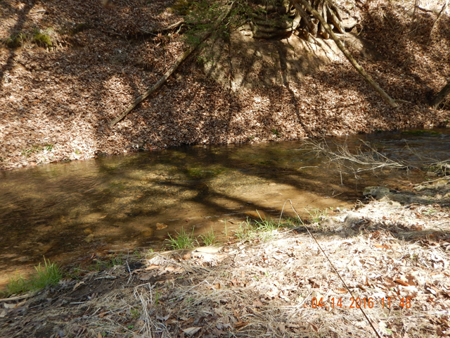 DSCN1068.jpg -                                There is a fairly deep channel next to the bank on the other side of the stream.  It too held fish.
