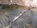 DSCF9191