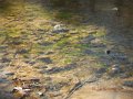 DSCN1057