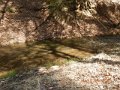DSCN1068