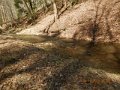 DSCN1069