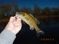DSCN0785