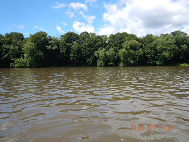 DSCN2158.jpg -                                Water is really high and stained.