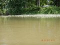 DSCN2164