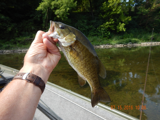 DSCN1518.jpg -     Would have loved to get these on the fly but the fish just wanted lures.                           