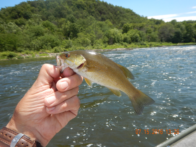 DSCN1534.jpg -                                
