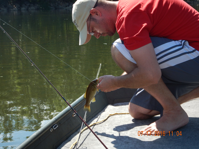 DSCN1557.jpg -                                Taking the hooks out as gently as possible.