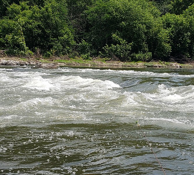 $Juniata1015$ (2).jpg - In some areas, the water was pretty swift.