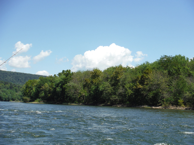 DSCF0241.jpg