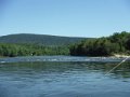 DSCF0231