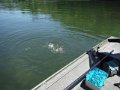 DSCF0236
