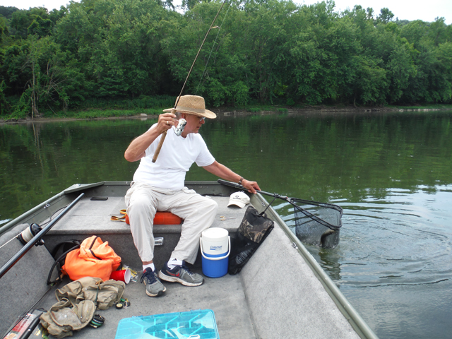 DSCF9441.jpg - Little more net practice.  Shame these fish weren't hitting flies as well as they were hitting spinners.  This size fish would be a hoot on a fly rod.