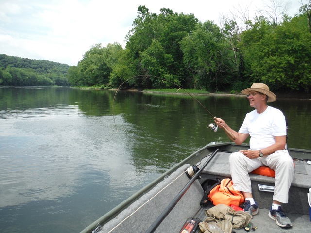 DSCF9445.jpg - Even the little ones seem to bend this rod pretty well.