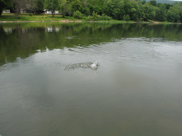 DSCF9456.jpg