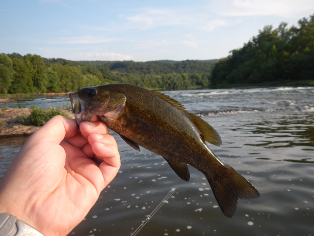 DSCN0413.jpg -                                And yet another out of the riffles.