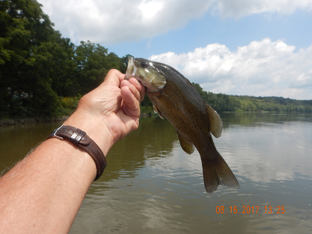 DSCN2342.jpg -                                Here was my last fish.