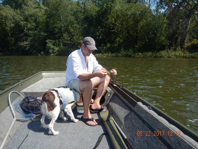 DSCN2356.jpg -                                And, the dog wanted to be included in the action.