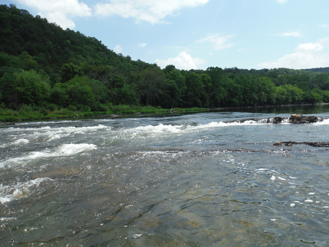 DSCF9501.jpg - Still, this is a pretty part of the river.