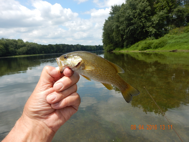 DSCN1589.jpg -                           The fish continued to bite all through the afternoon.     