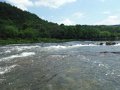 DSCF9501