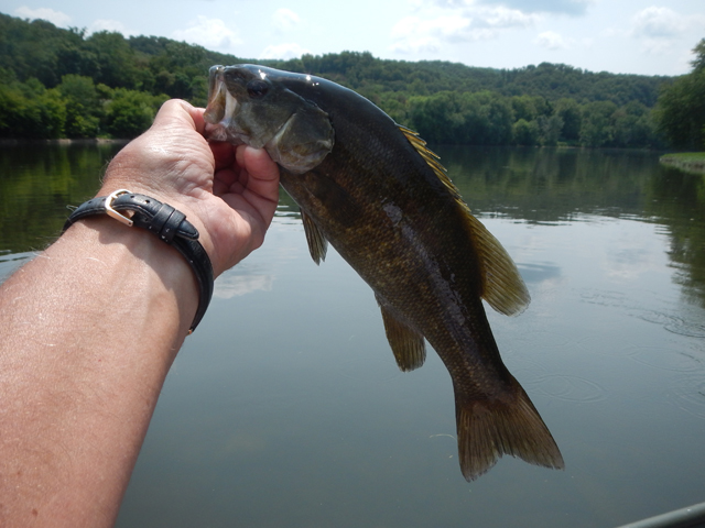 DSCN0387.jpg -                                The fish didn't seem to mind a bit.