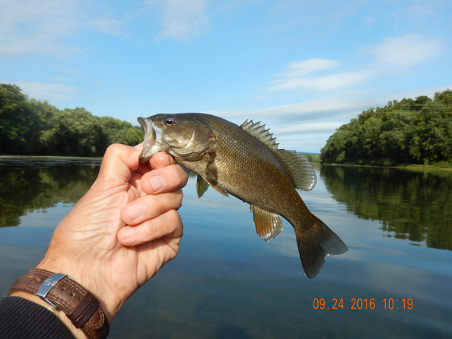 DSCN1714.jpg - But, we kept catching.                               