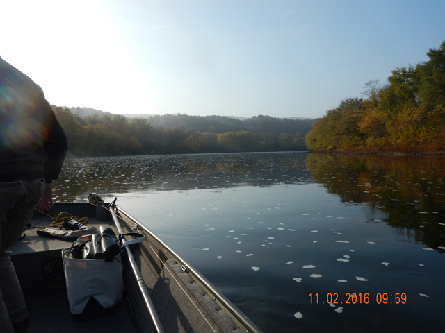 DSCN1769.jpg - Sure was a pretty November day and the temps were really mild.                               