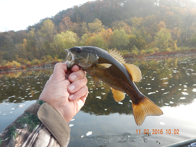 DSCN1772.jpg - This was the second fish cautght.                               