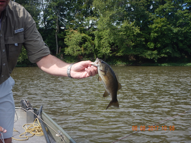 DSCN2292.jpg -                                