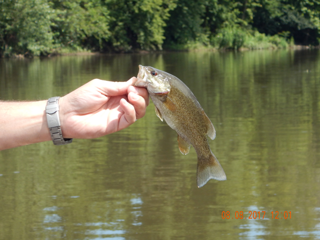 DSCN2299.jpg -                But we would much rather catch the bass.  Another one for Gary.                