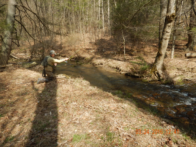 DSCN0893.jpg -                                Ed figured it out quickly.  Keeping low and staying in the shadow of a big oak tree helps increase your catch ratio.