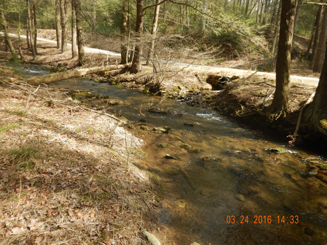 DSCN0906.jpg -                                The stream follows the road making access easy.  Sporadic cadis hatchs were all I saw.  When the bugs start the fishing here will be like hitting a hatchery.