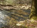 DSCN0886