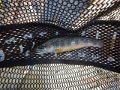 DSCN0889