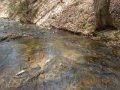 DSCN0904