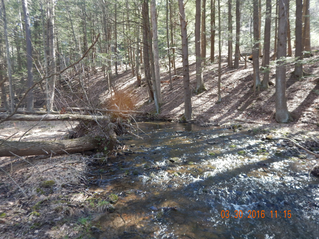 DSCN0963.jpg -                                