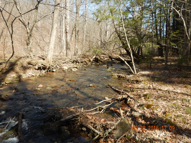DSCN0972.jpg -                                