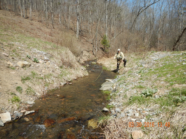DSCN0983.jpg -                                Ed tried nymphs in the upper part of the run and missed one fish.