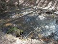 DSCN0962