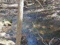 DSCN0966