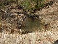 DSCN0986