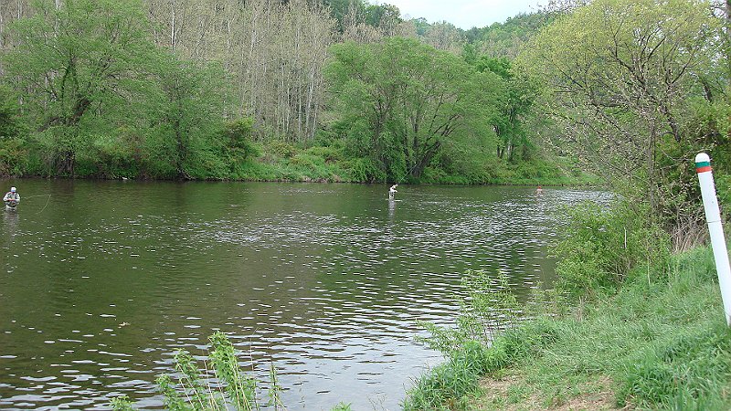 DSC02804.JPG