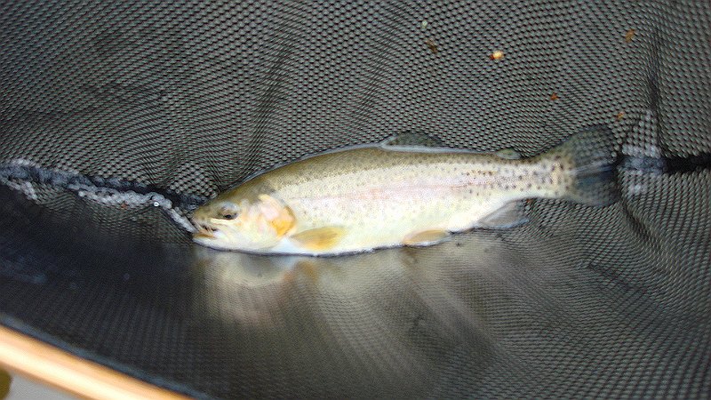 DSC02812.JPG